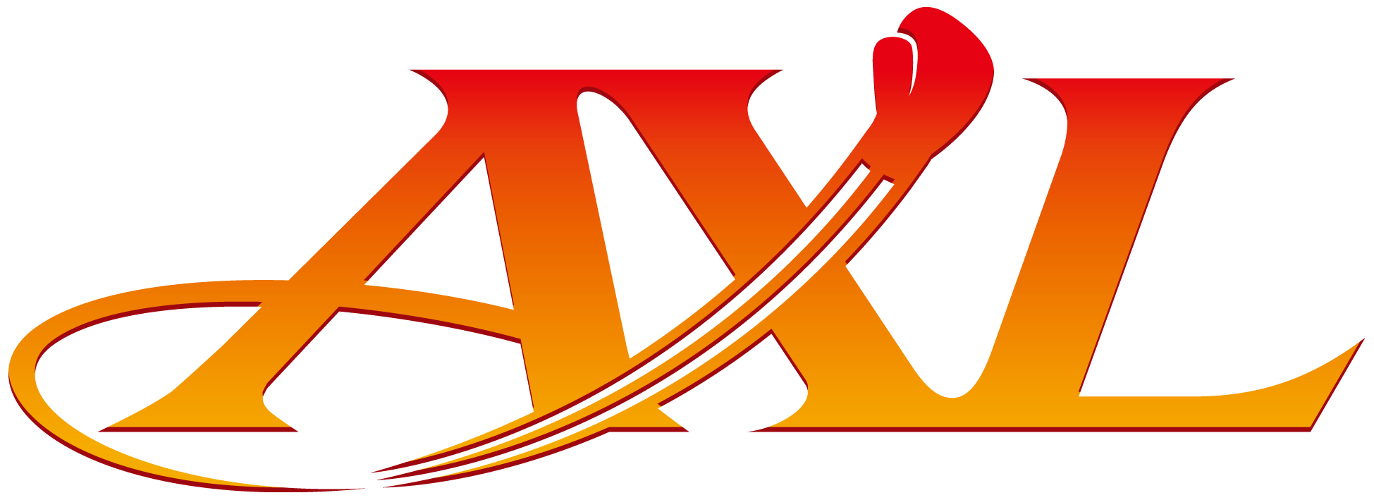 公認会計士税理士事務所アクセル